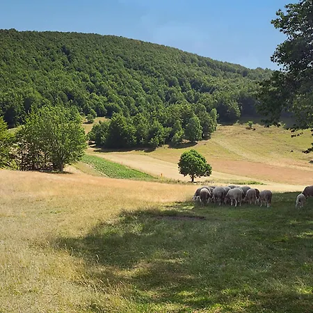 Vakantiehuis Margherita By Interhome