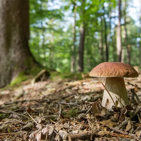 Margherita By Interhome Dom wakacyjny *