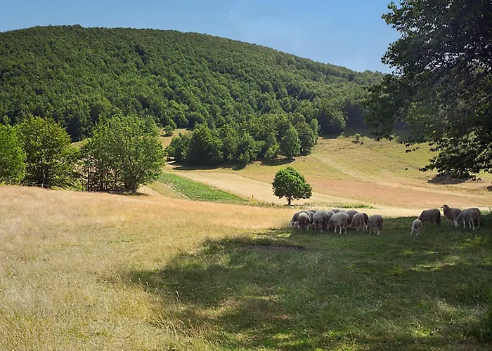 Dom wakacyjny Margherita By Interhome