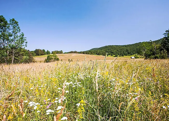 Dom wakacyjny Margherita By Interhome